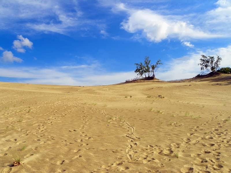 Mount Baldy - Image 1