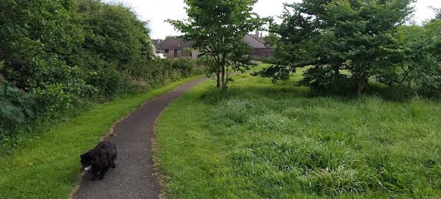 Janice's Trees - Image 2