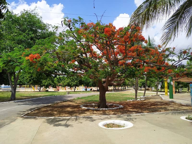Josepha Coelho City Park - Image 2