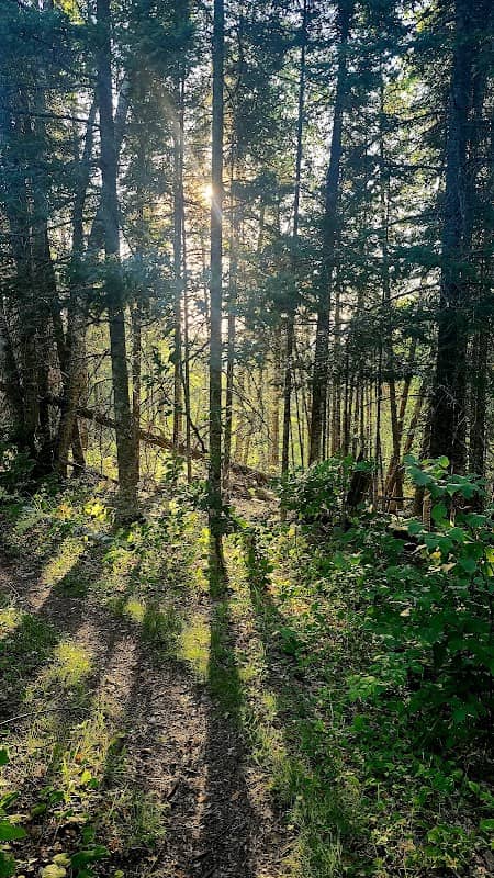 North Country Trail - Brule Bog Boardwalk - Image 2