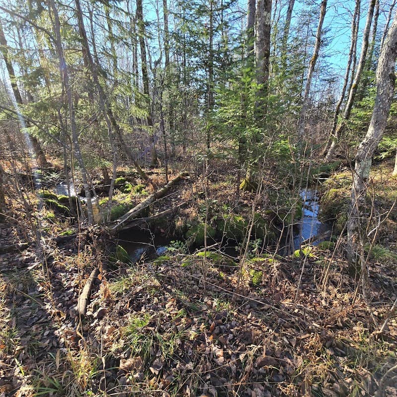 North Country Trail - Brule Bog Boardwalk - Image 3
