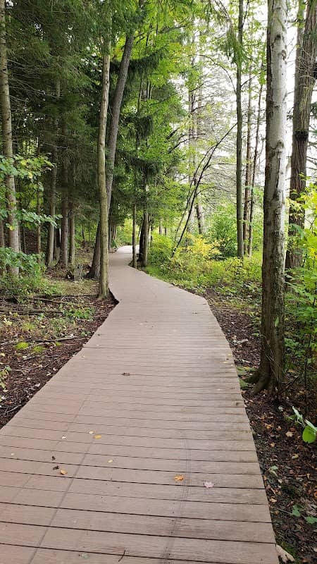 Hillside Park - Image 1