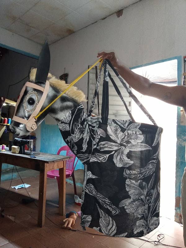 Zé Nilton artesão - Image 1