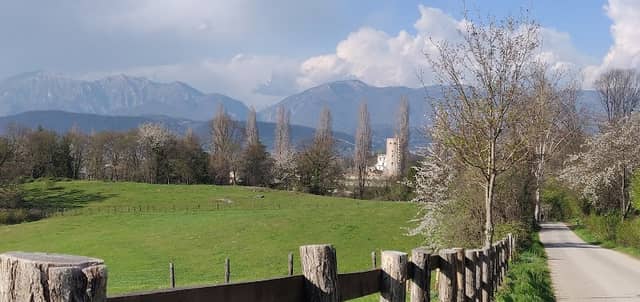 Colline del prosecco di Collalto - Image 1