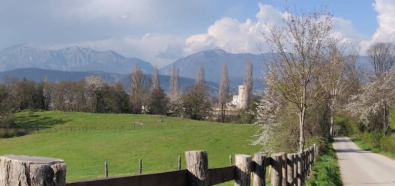 Colline del prosecco di Collalto - Image 1