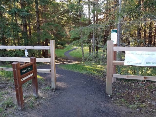 Moritani Preserve - Image 2
