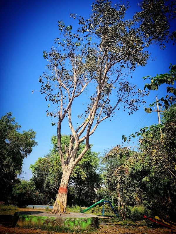 Vivekananda Park - Image 1