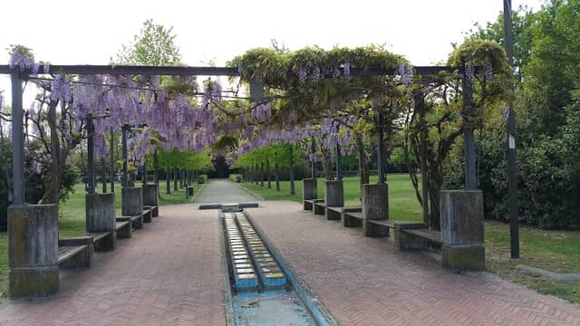 Parco urbano dell'Ambrogiana - Est - Image 1