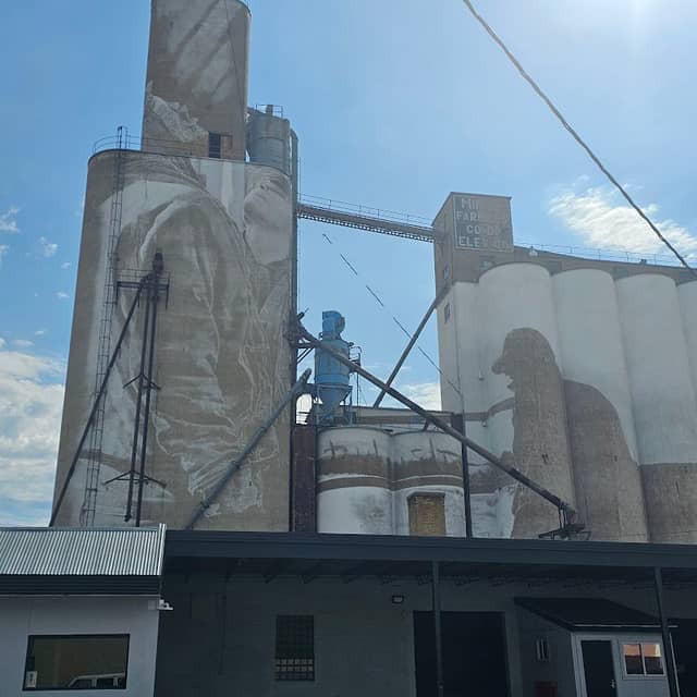Guido van Helten Silo Mural - Image 2