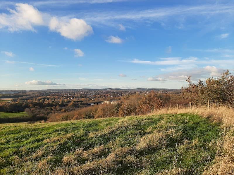 Bestwood Country Park - Image 2