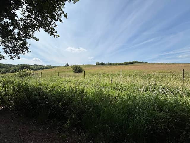 Bestwood Country Park - Image 1