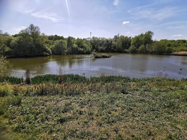 Sheepwash Nature Reserve - Image 1