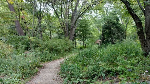 Asheville Botanical Garden - Image 1