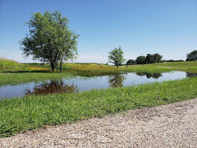 Poplar Walking Trail - Image 2