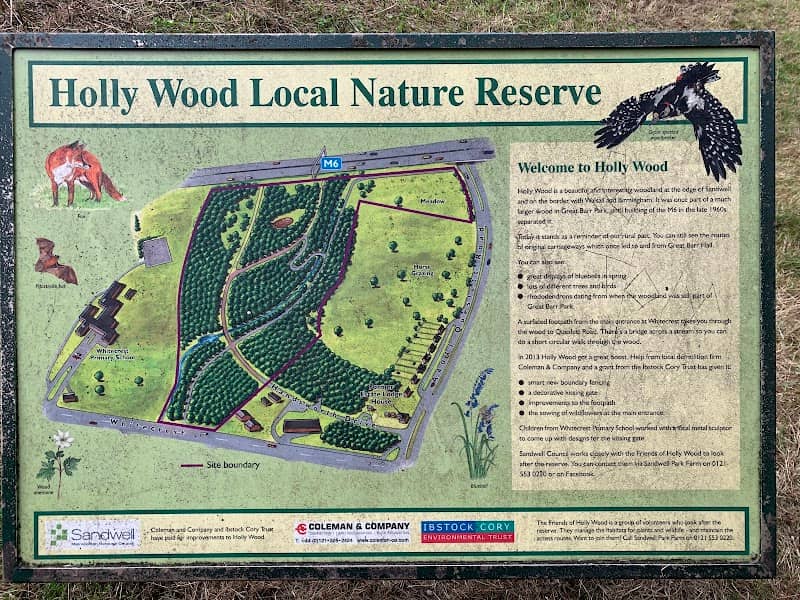 Holly Wood Nature Reserve - Image 1