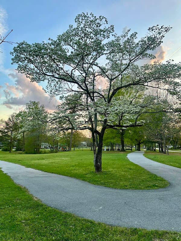 Shady Park - Image 1