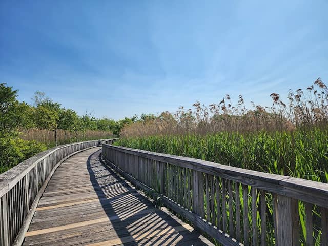 Claire D. McIntosh Wildlife Refuge - Image 1