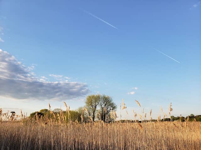 Claire D. McIntosh Wildlife Refuge - Image 3