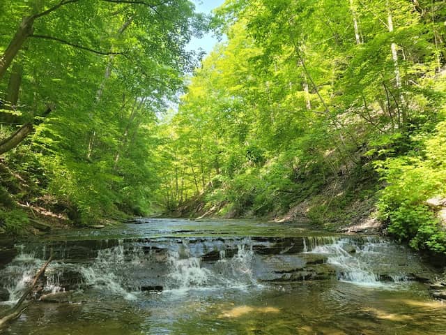 Warsaw Village Park - Image 2