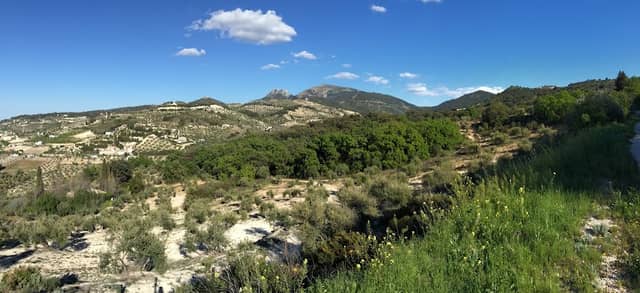 Bañizuela Forest - Image 2