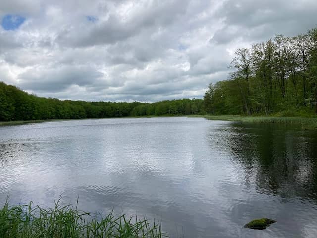 IAT Timberland Hills Trailhead - Image 1