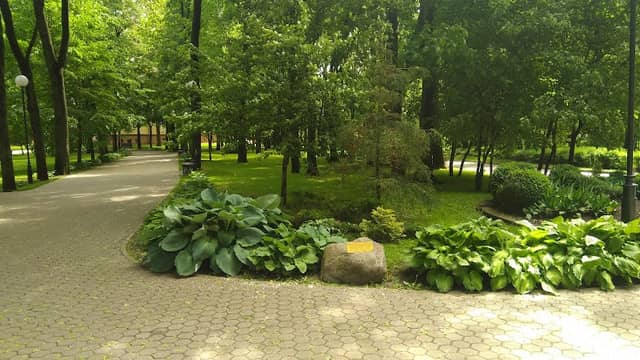 Гарадзішча старажытнага Гомеля. X–XVII стагоддзі - Image 1