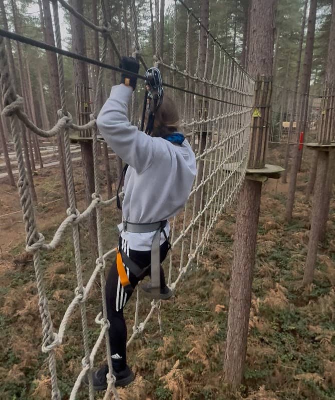 Go Ape Sherwood - Image 2