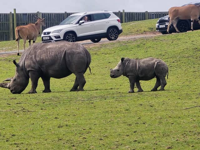 West Midlands Safari Park - Image 1