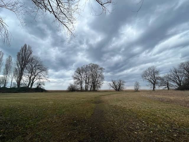 Altenrhein Nature Reserve - Image 1