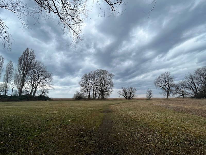 Altenrhein Nature Reserve - Image 1