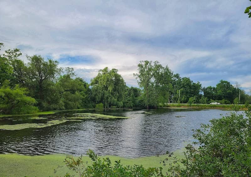 Centennial Park - Image 1