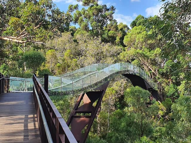 Kings Park and Botanic Garden - Image 3
