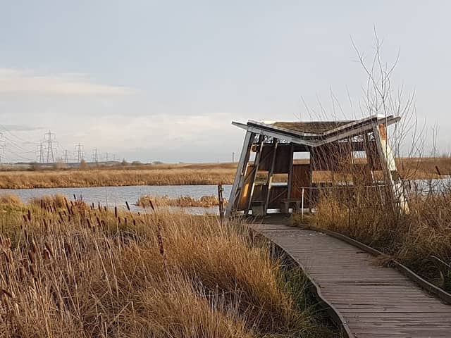 RSPB Black Devon Wetlands - Image 1