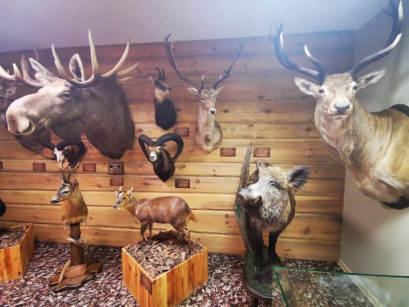 Fisheries Museum - Image 1