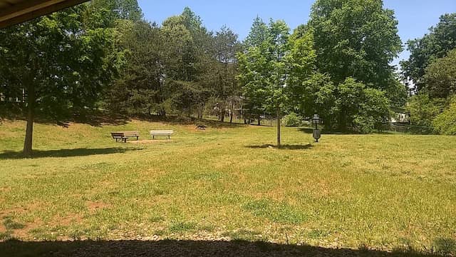 St Stephens Park & Dog Park - Image 2