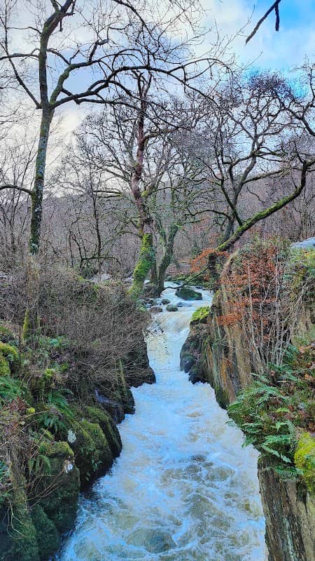 National Trust - Aira Force and Gowbarrow Park - Image 3