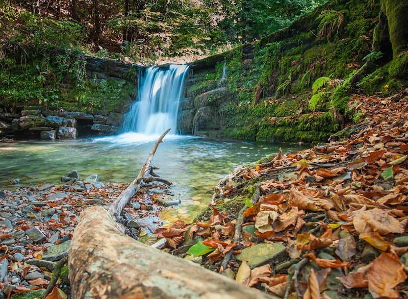 Wild Waterfall Brenna Hołcyna - Image 1