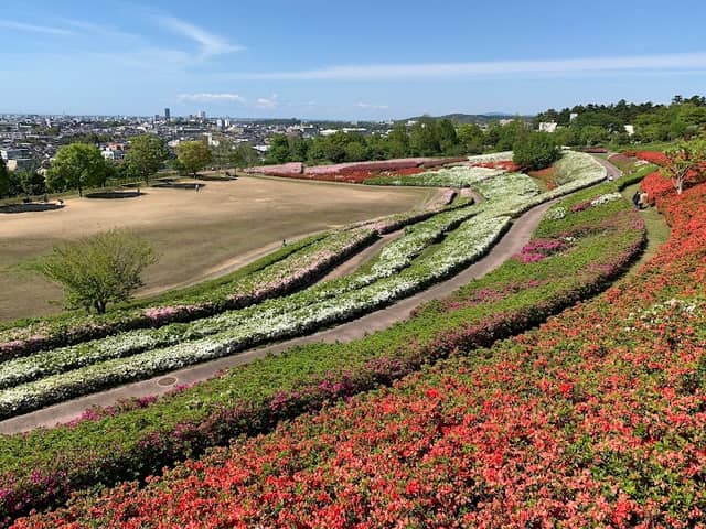 Daijoji Kyuryo Park - Image 1