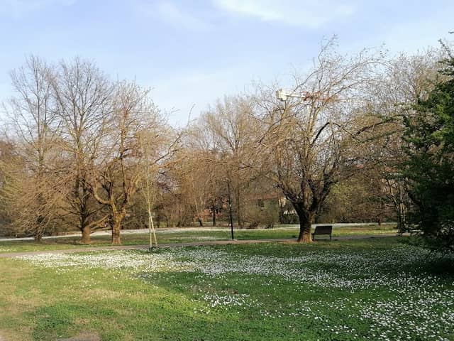 Parco Giramondo - Image 2