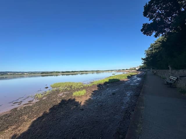 Exe Estuary Trail - Image 3
