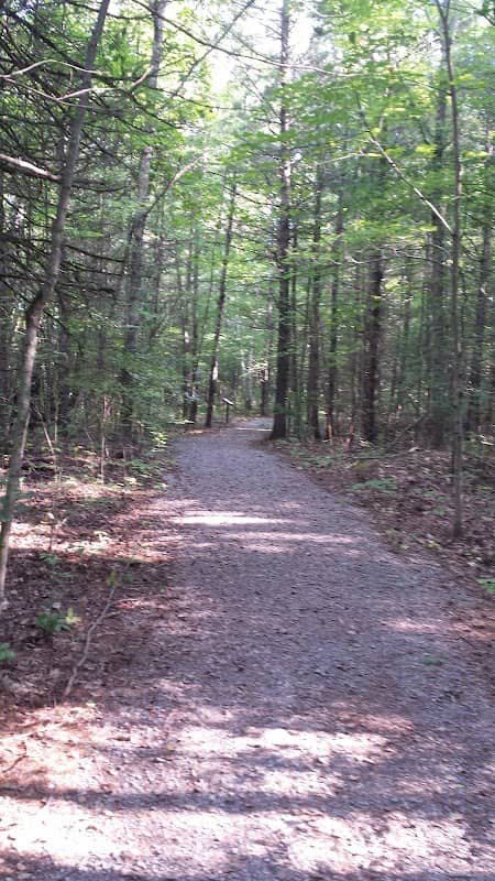 Bobcaygeon Wilderness Park - Image 1