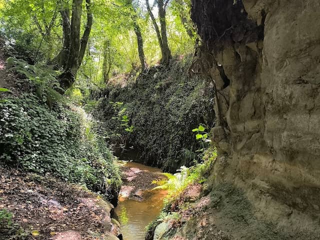 Cascata dell'Acqua Forte - Image 1