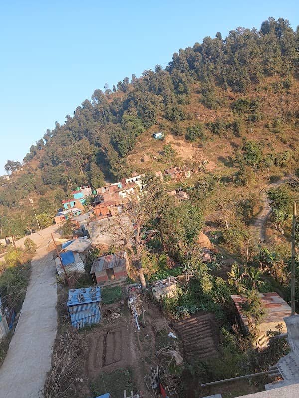 डाडागाउ - Image 1