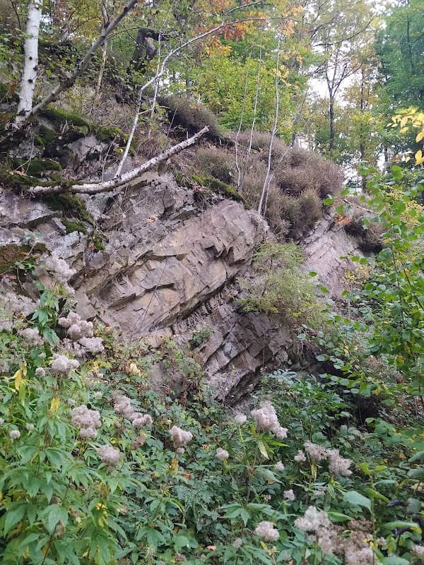 Geologischer Aufschluss Nimmertal - Image 1