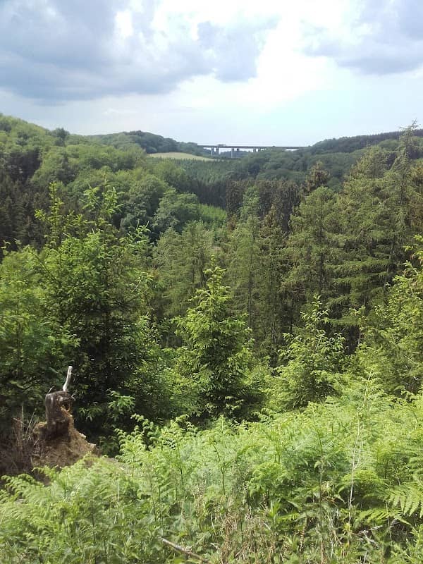 Geologischer Aufschluss Nimmertal - Image 3