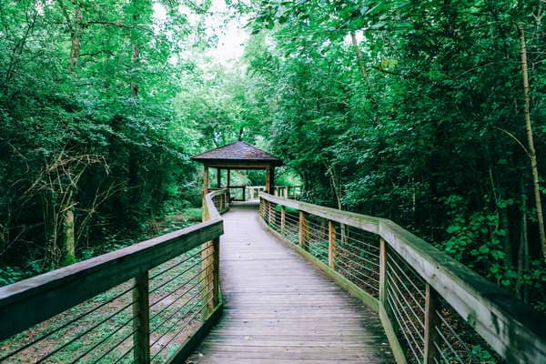 Town Creek Park - Image 1