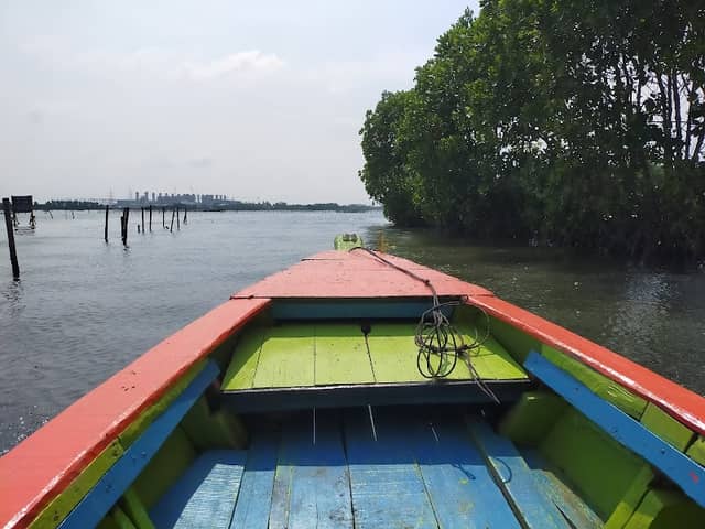 Sembilangan Mangrove Forest & Rindu River - Image 1
