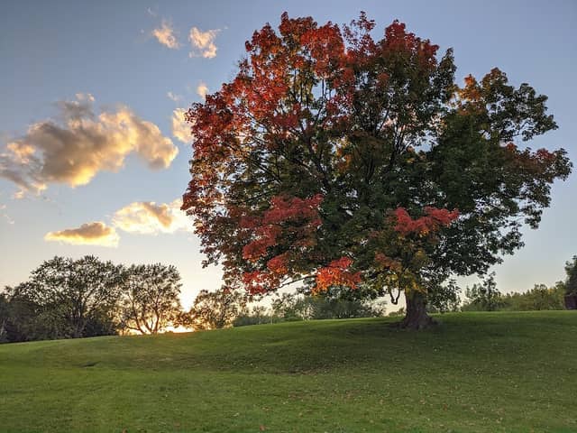 Parc Bernard-Landry - Image 2