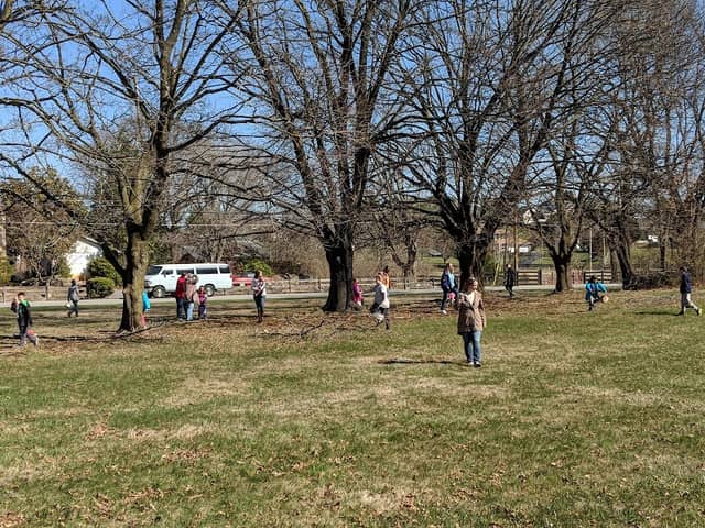 Park - Image 1