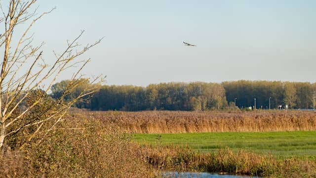 Potschar - Image 2